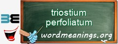 WordMeaning blackboard for triostium perfoliatum